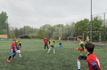 IMG_1015.jpg
